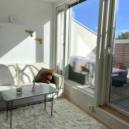 公寓 Elegant Penthouse Loft - Center 赫尔辛基