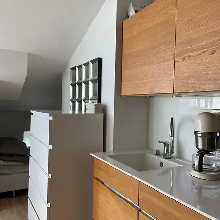 公寓 Elegant Penthouse Loft - Center *